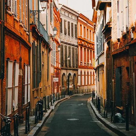 Apartment Centre Superb With Parking Toulouse